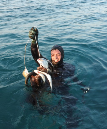 Stefano
